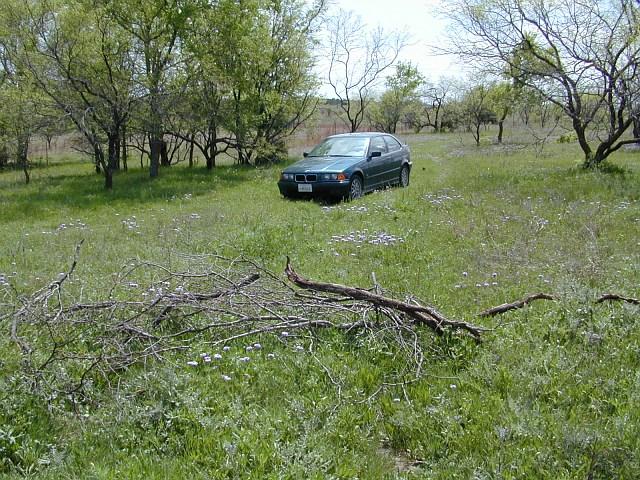 318ti in the meadow